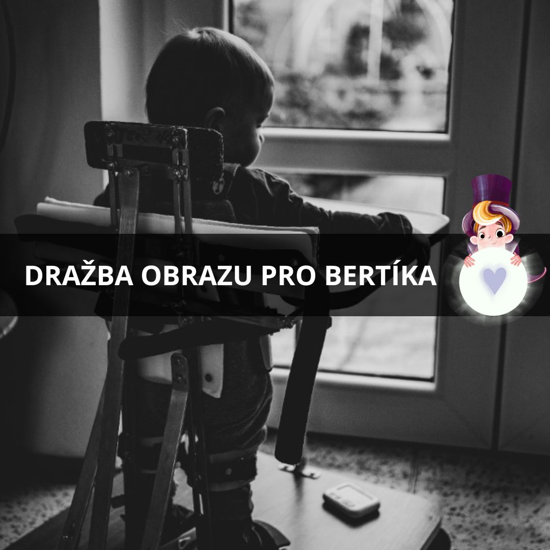 Pomoc Bertíkovi na jeho cestě DRAŽBA