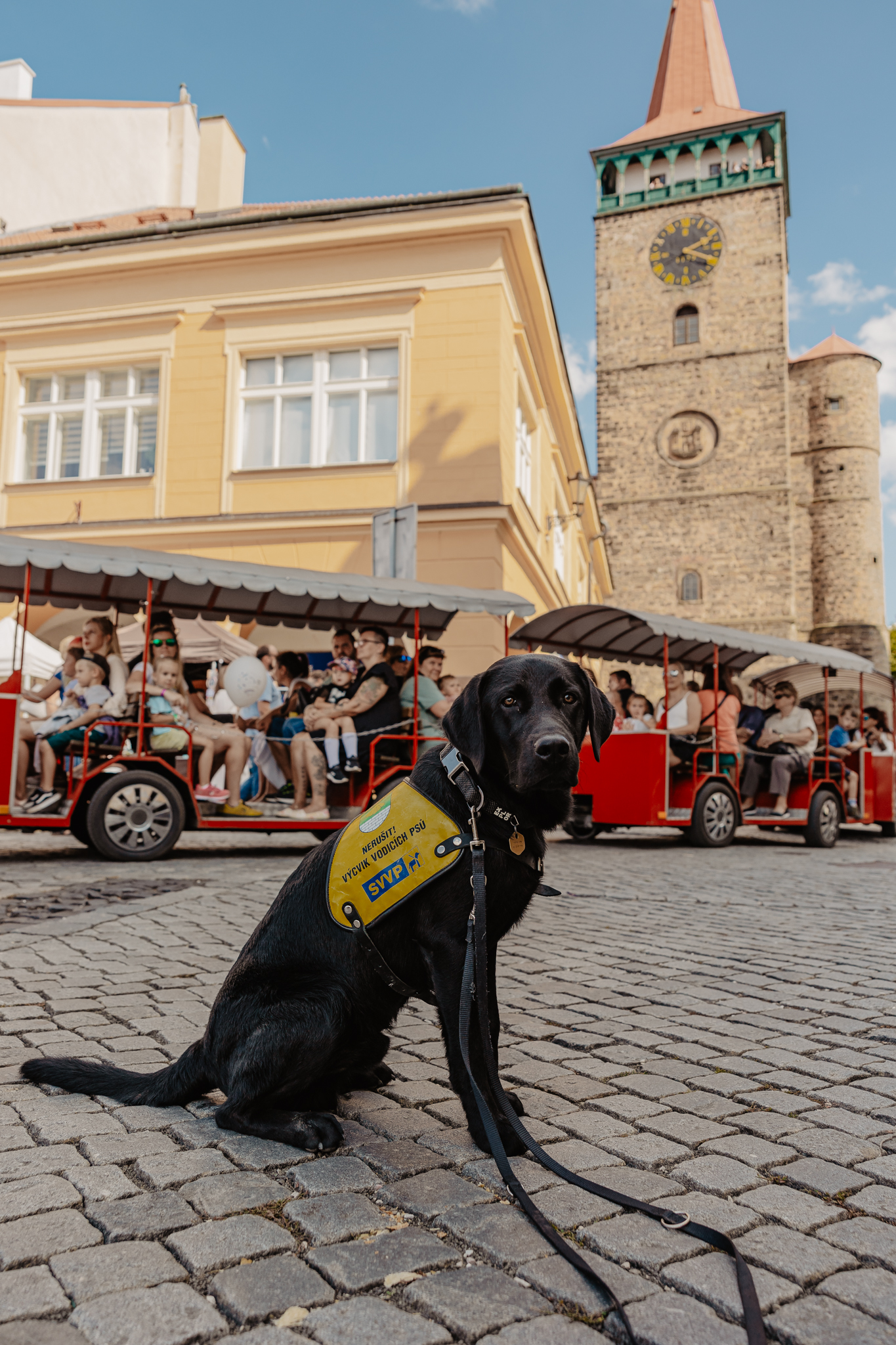 Pohádka bez bariér